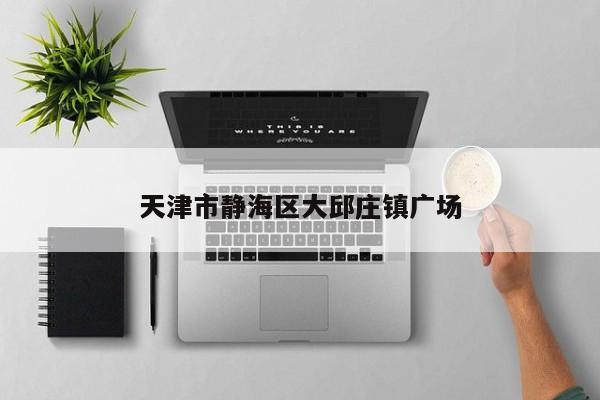 天津市靜海區(qū)大邱莊鎮(zhèn)廣場(chǎng)